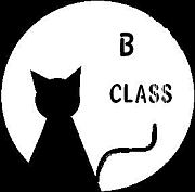ǭ B-CLASS