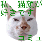 䡢ǭ餬ʤǤ