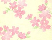 信じてた事、正しかった