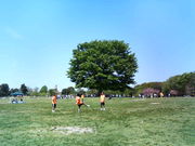 ���ߤ�ʤΥեåȥ����