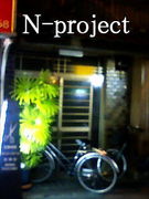 N-プロジェクト
