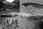 浅川国際鱒釣場