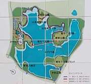 ��Ϳ�������RUN��WALKing-Hi��