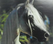 ��饢���love