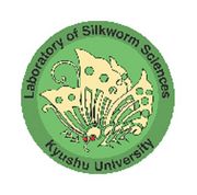 Silkworm Lab. of Kyushu-U