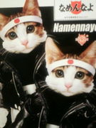 1974ǯ���������