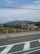 Team Adult†Children