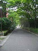 ����05��