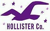 HOLLISTER Co.Υ