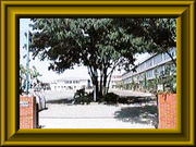 立川市立第四小学校