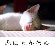 п(դˤ)