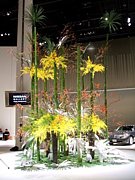 ��������Ũ�ʥե������ȡ�