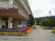 ������Ω������ع�