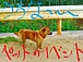 【沖縄】ペットのイベント情報