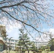 ���츩Ω���й⹻2003ǯ��´����