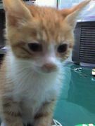 ���ޤ���ǭ♡