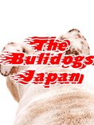 The Bulidogs Japan