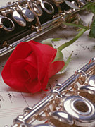 ǯ