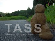 TASS