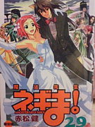 コタ夏に萌える。
