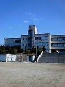 Ĺ�桡1996