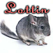 Lottin