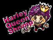 Harley Queen Shrimp