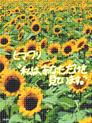 ���ο��οͤ���Ǥ��ʤ�������