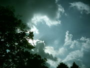 2004ǯ´⹻Ʊ