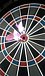DartsLive  �ˣ�