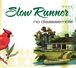 Slow Runner