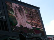 ����������������٥��