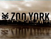ZOOYORK