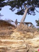 ���ä����ι���ʤ򵧤��