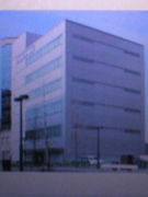 �ٻ����ͽ������19ǯ��