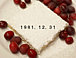 1981ǯ1231ޤ