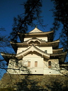 日本の城(跡)１０００城