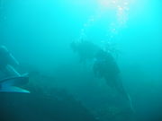 �����ӥ󥰵���