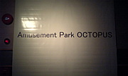 Amusement Park Octopus