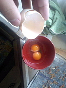 ���ԡ���16���ΥӥӤ��б�