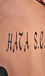 Ȭ¿SC