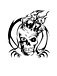 BLACK PIRATES