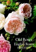 Old Roses & English Roses
