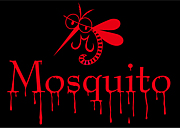 Mosquito