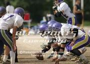 �������ֹ⹻��WILD��BEAST