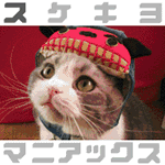 ��������ޥ˥��å���