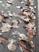 �����⹻��1996ǯ´