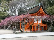◆京の歴史と文化と人　【京都】
