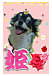 ♡ɱ♡�����؎�