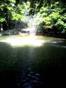 ���л�����